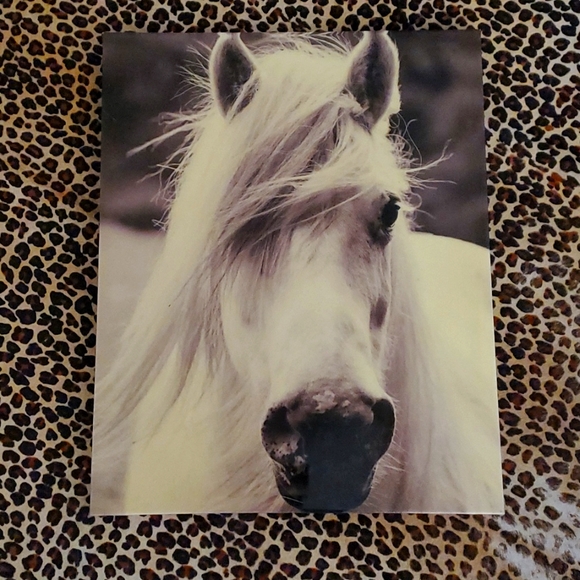 Glossy Arabian Art - Picture 1 of 4